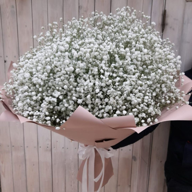 Bouquet of 25 white gypsophila, standart