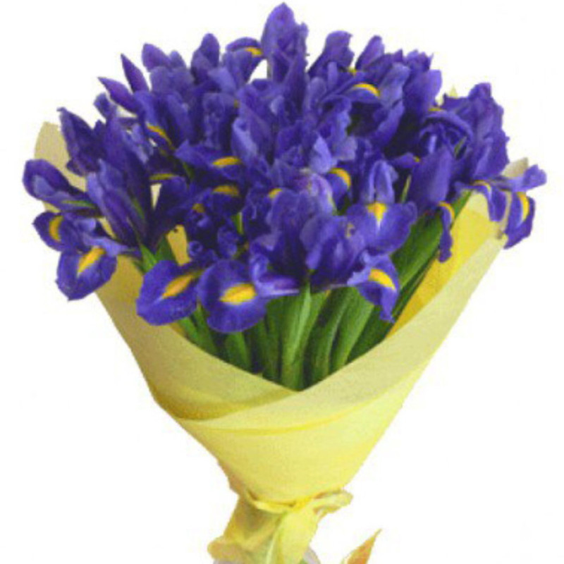 Bouquet of Irises, standart