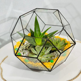 Florarium ball with succulents