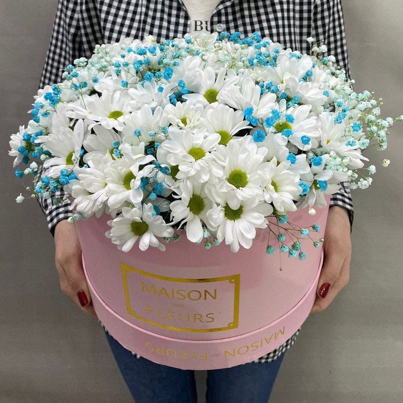 Composition of chrysanthemums in a hat box, standart