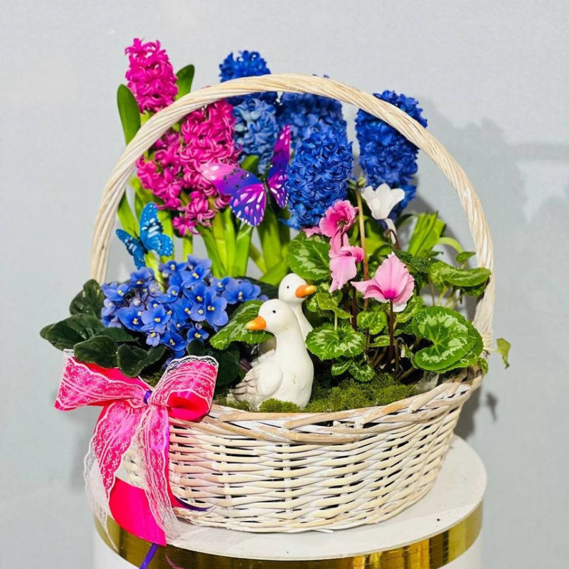 Large basket with hyacinths, violets and cyclamen, standart