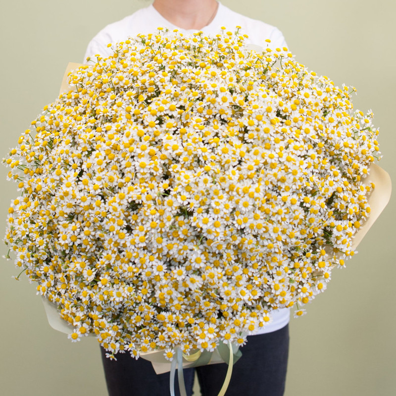 Bouquet of flowers "101 daisies", standart
