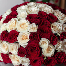 Classic mix of 51 roses 60 cm