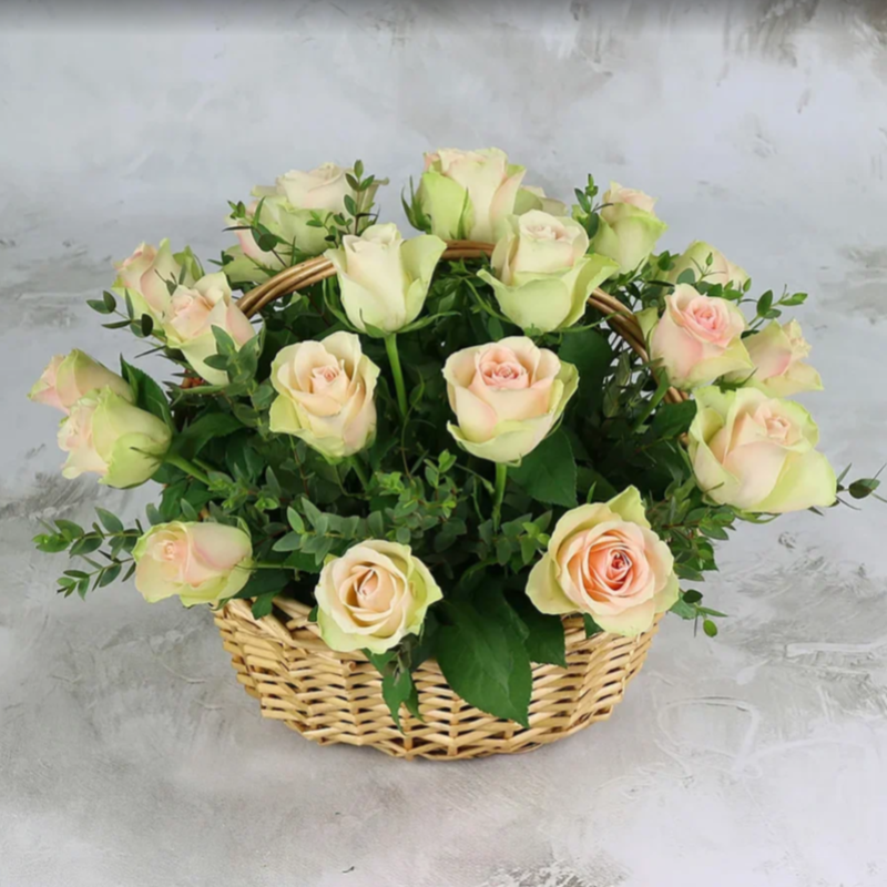 25 green-pink roses 40 cm in a basket, standart