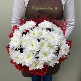 Bouquet of spray chrysanthemums