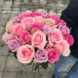 Mix of roses