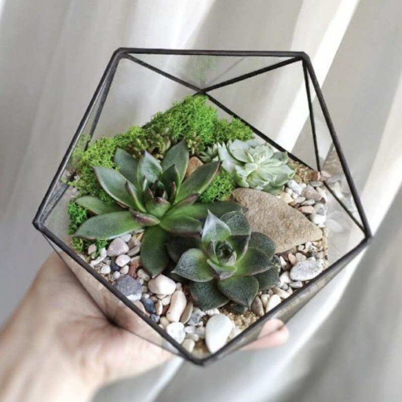Florarium icosahedron with faces, standart