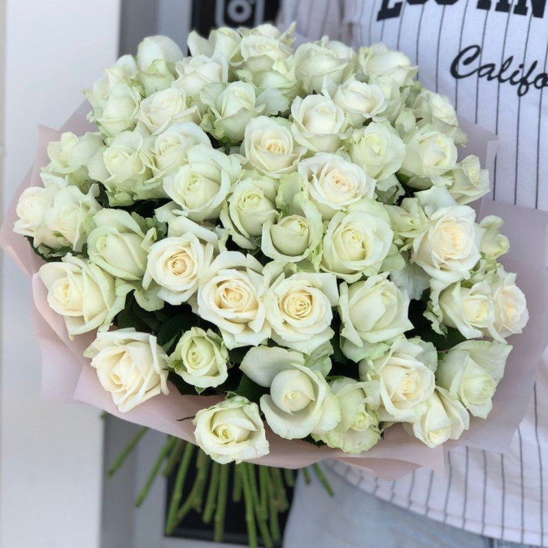 51 white roses per pack, standart