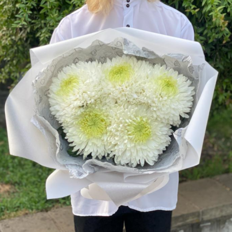 White single-headed chrysanthemums, standart