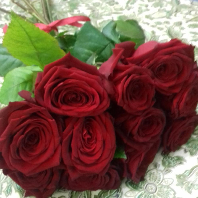 11 красных роз, стандартный