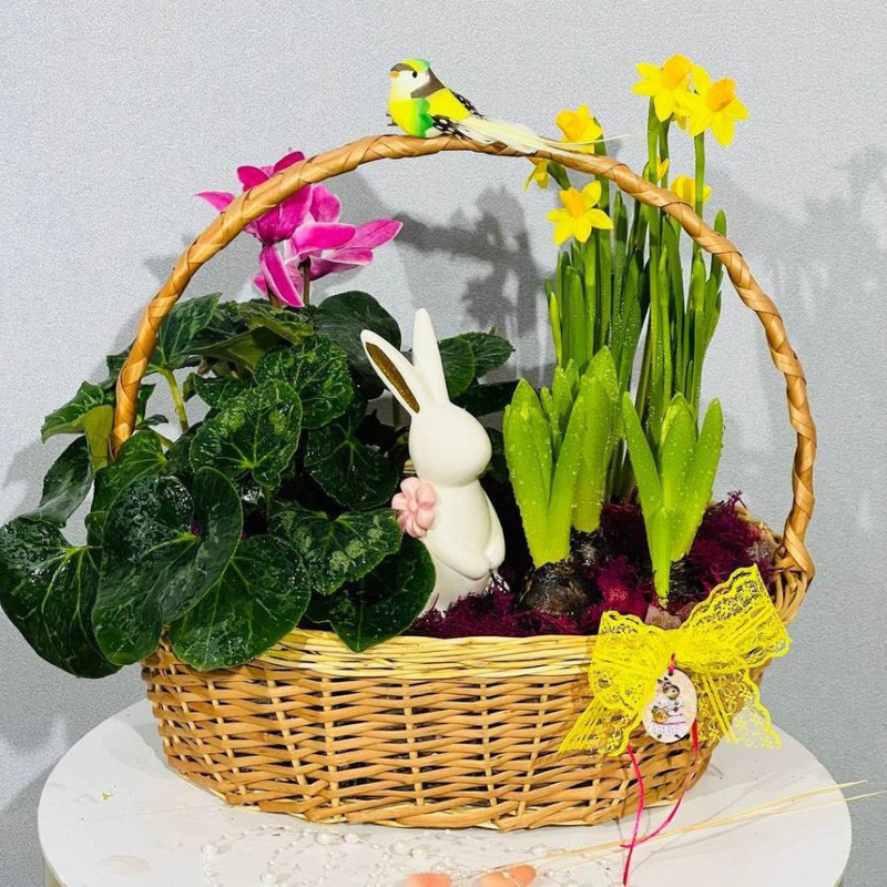 Easter basket with primroses, standart