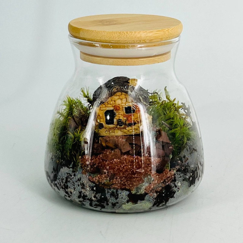 Ecosystem in glass with natural moss, standart