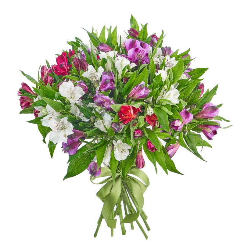 Bouquet of 21 Alstroemerias, standart