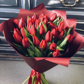 Bouquet of 35 red tulips in a package