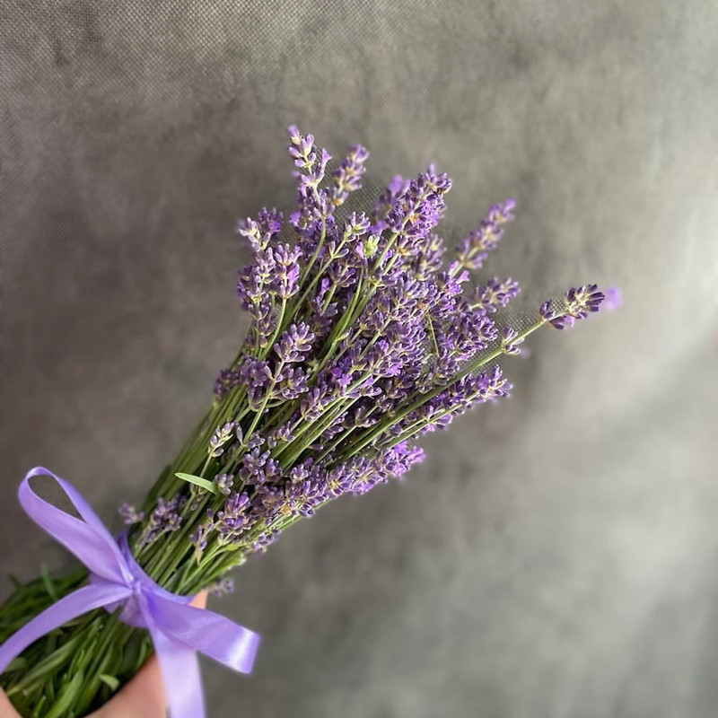 Bouquet "Lavender", standart