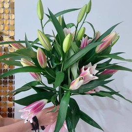 Bouquet of 5 lilies