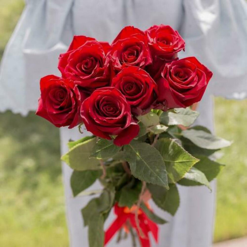 7 red roses 60 cm, standart