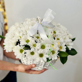White daisies in a basket