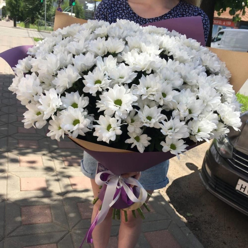 Bouquet of daisies, standart