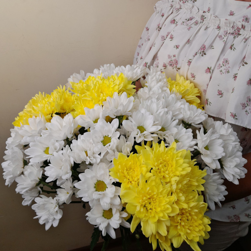 chrysanthemum mix, standart