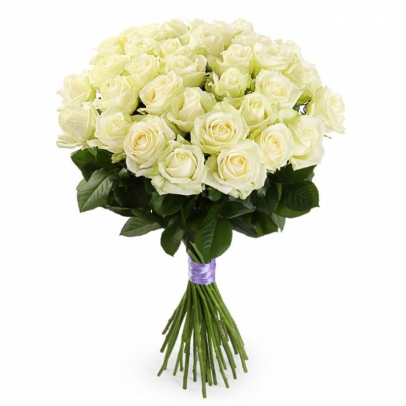 Bouquet of 25 white roses 60 cm, standart