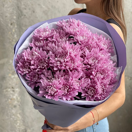 Bouquet of lavender chrysanthemums