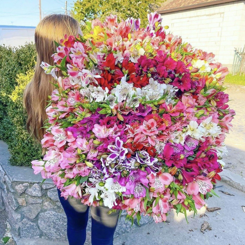 Huge bouquet of 151 alstroemerias, standart