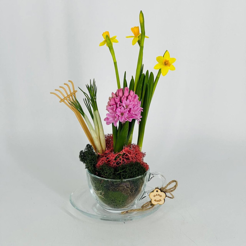 Interior mini composition of spring primroses, standart