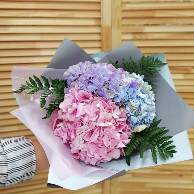 Bouquet of three hydrangeas, standart