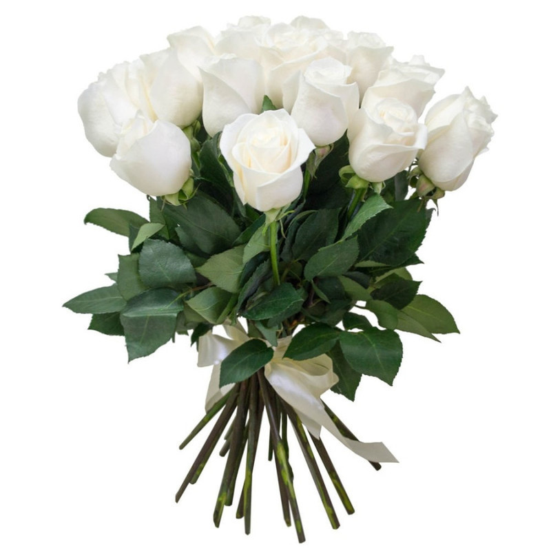 15 White Roses Avalanche, standart