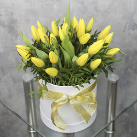 Box "25 yellow tulips in a box"