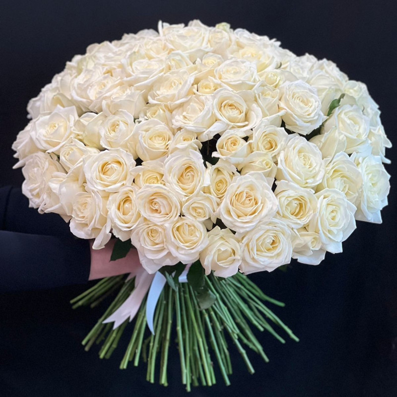 125 white roses., standart