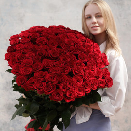101 red rose 70 cm