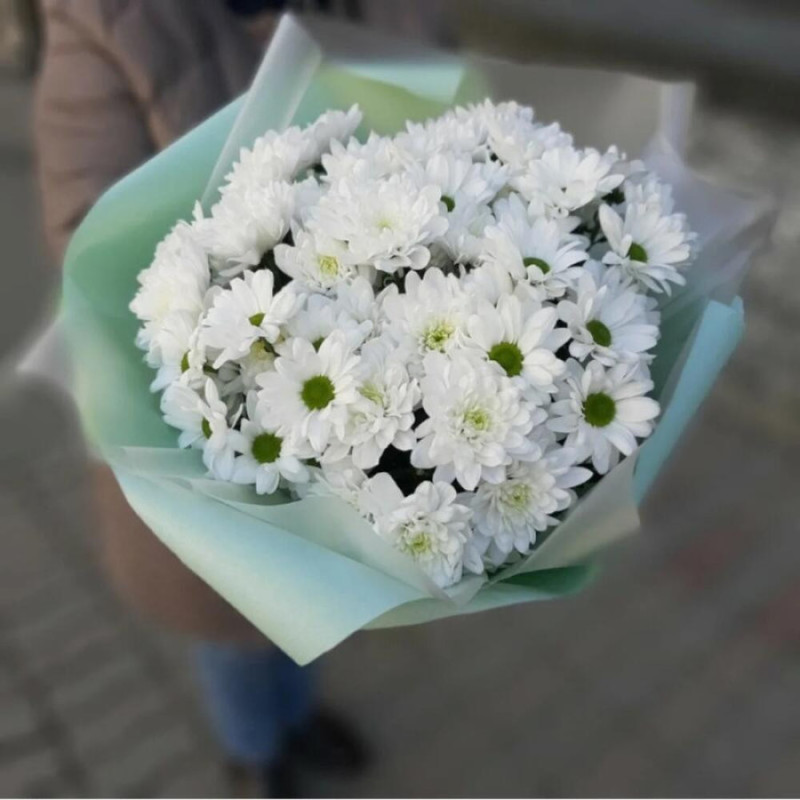 Bouquet of bush chrysanthemums, standart