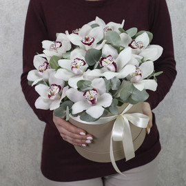 White orchids with eucalyptus in a box "Butterflies"