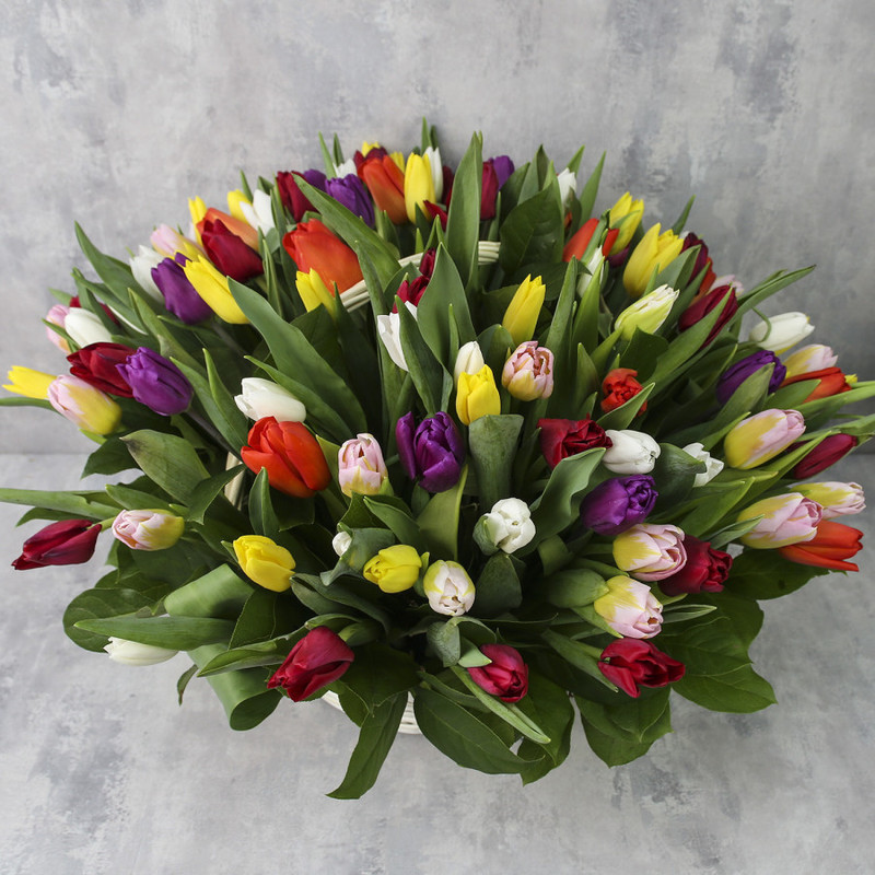 Basket of 101 tulips "Tulips mix", standart