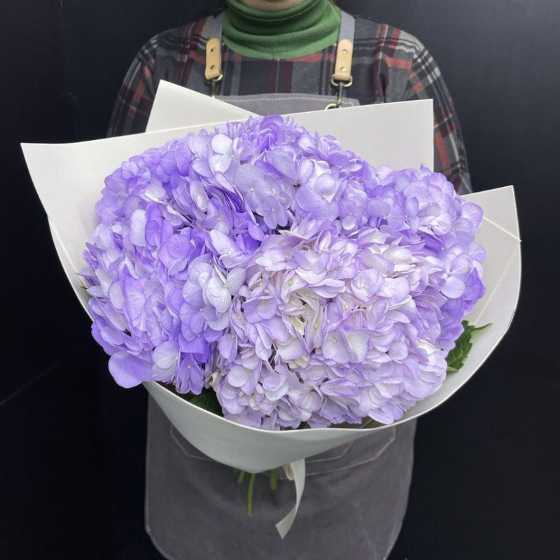Bouquet of hydrangea "Lilu", standart