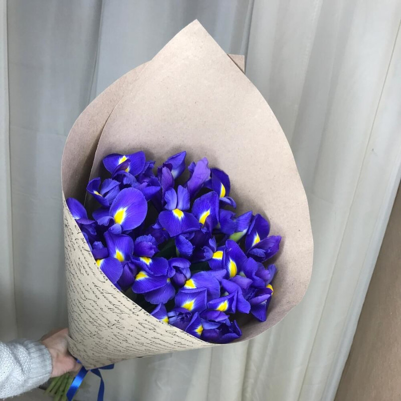 15 irises in craft, standart