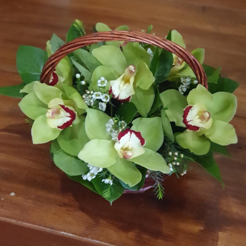 Basket with orchid, standart