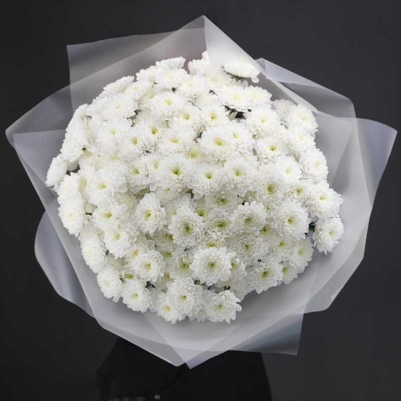 Букет из 25 белых хризантем кустовых в дизайнерском оформлении 60 см, стандартный