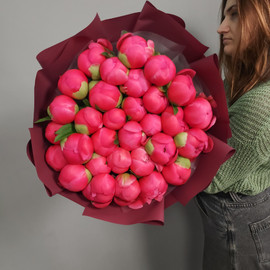 31 selected peonies Coral Charm