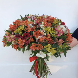 Bouquet of 75 colorful alstroemerias