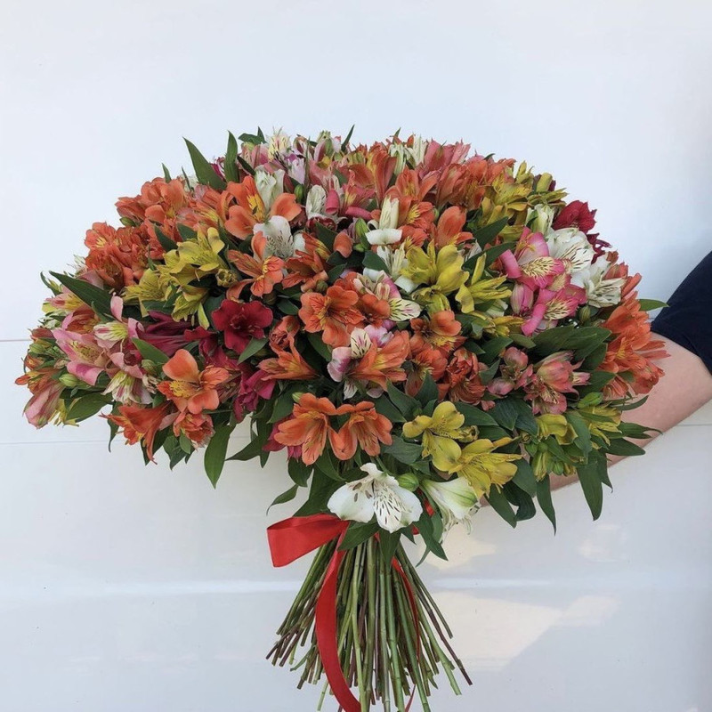 Bouquet of 75 colorful alstroemerias, standart