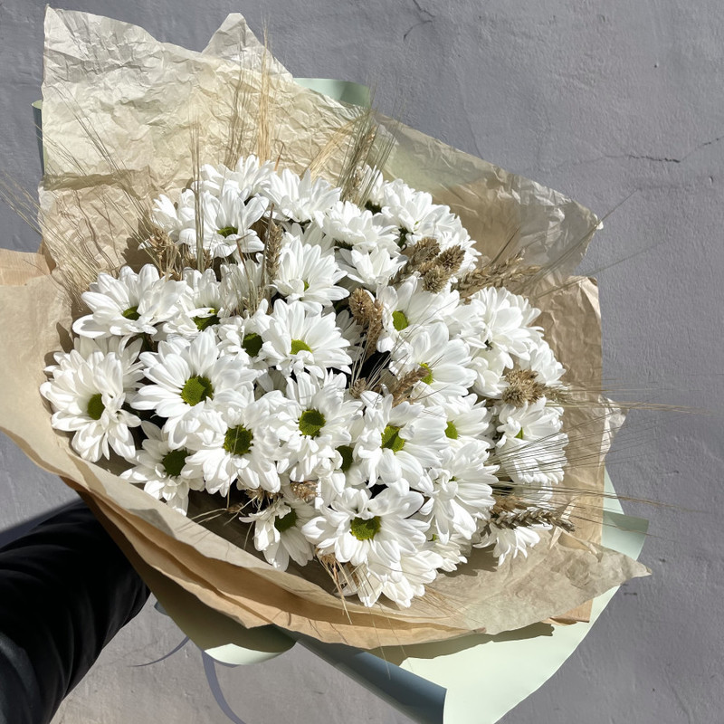 Bouquet of chamomile chrysanthemum with spikelets, standart