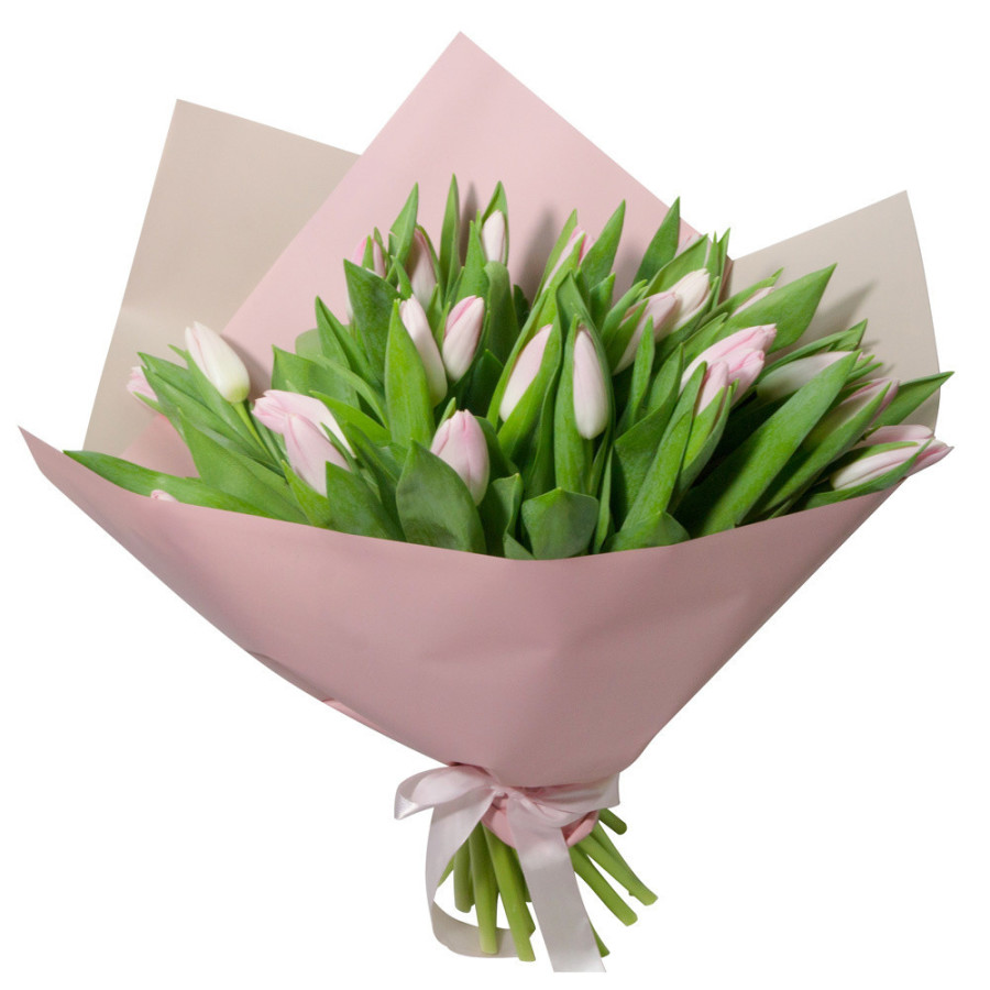 Bouquet to hand-delivered Omsk vendor 333047471, 31 tulip, code: pink