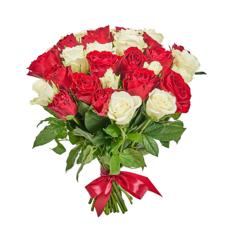 Букет из 31 красно-белой кенийской розы, стандартный