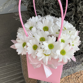 Handbag of daisies