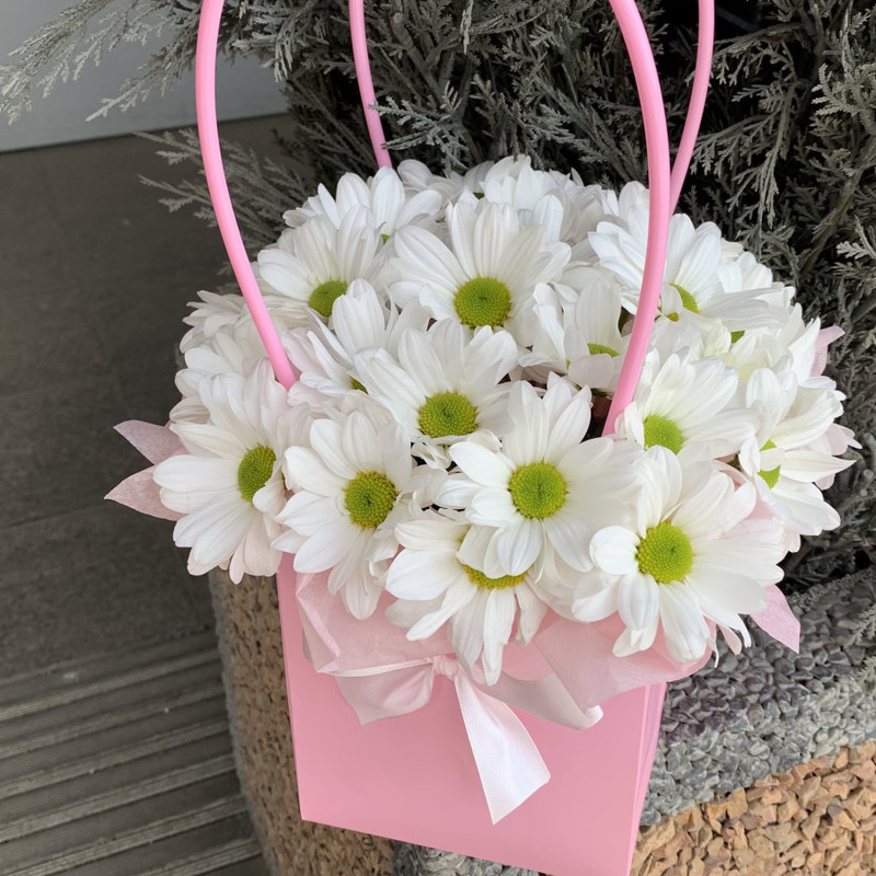 Handbag of daisies, standart