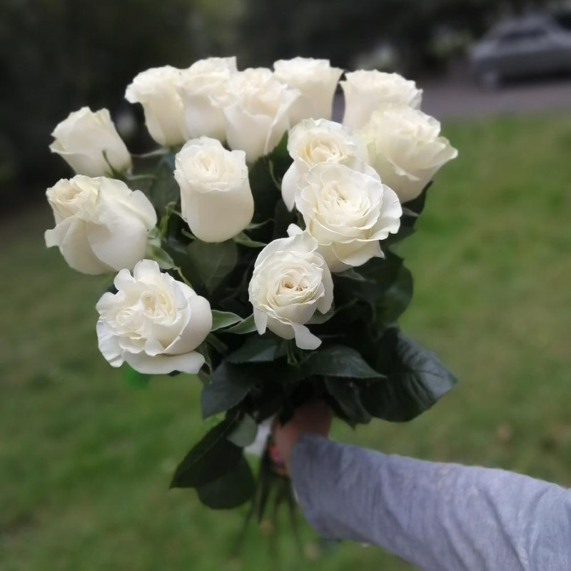 15 белых роз, стандартный