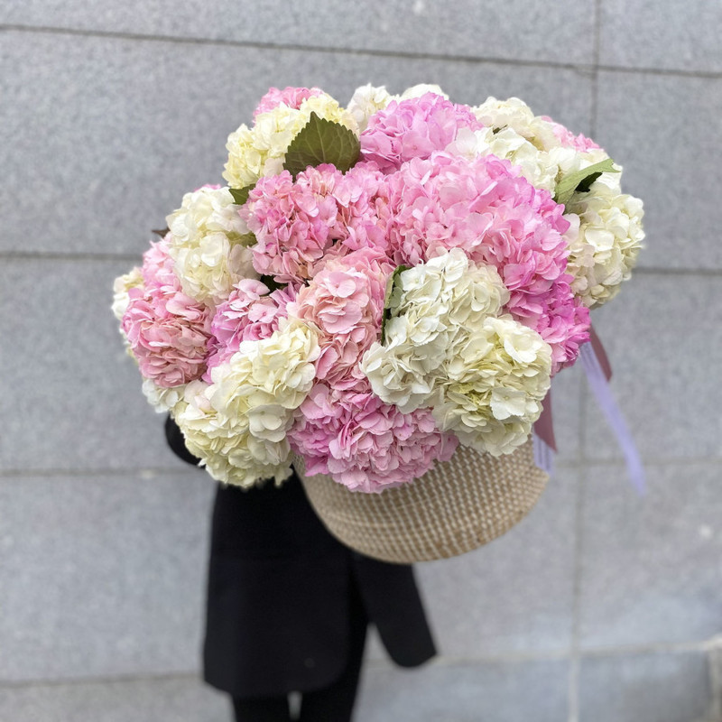 Luxurious, huge basket with the most delicate Hydrangeas, standart